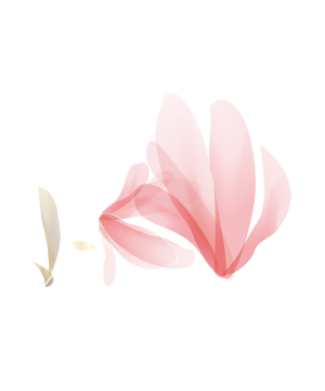 Decorative Icon