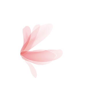 Decorative Icon